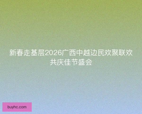 新春走基层2026广西中越边民欢聚联欢共庆佳节盛会